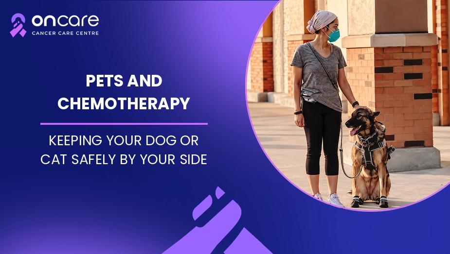 keeping pets during chemotherapy